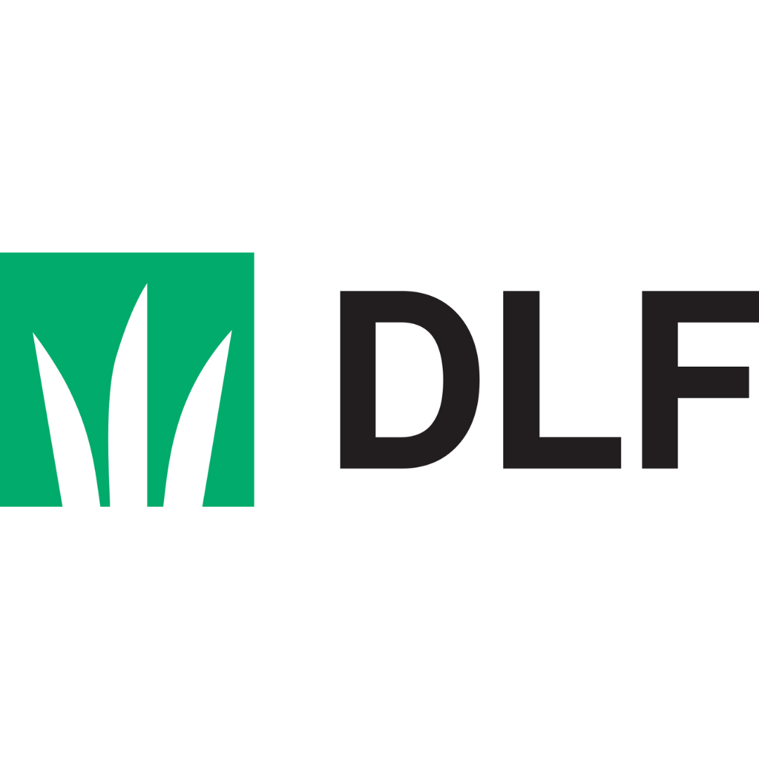 DLF